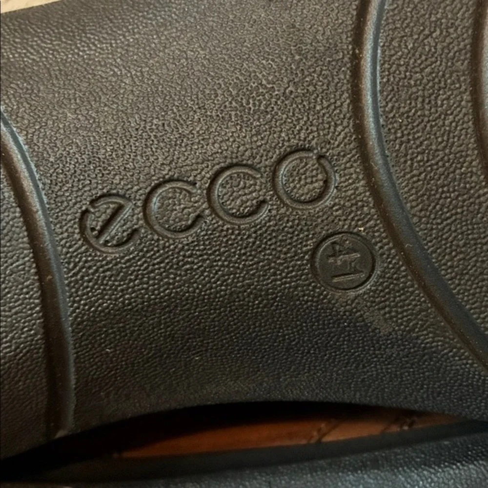 Ecco great pre